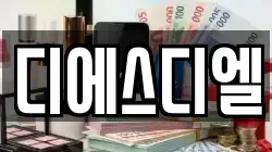 디에스디엘