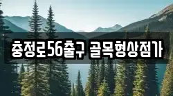 충정로56출구 골목형상점가
