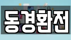 동경환전