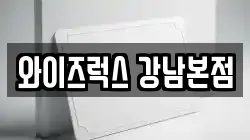 와이즈럭스 강남본점