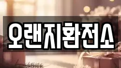 오랜지환전소