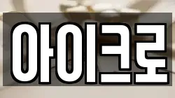 아이크로