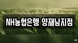 NH농협은행 양재남지점
