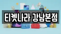 티켓나라 강남본점