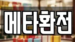 메타환전