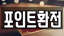포인트환전