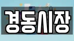 경동시장