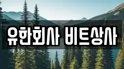 유한회사 비트상사