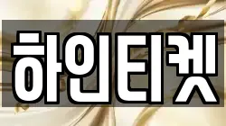 하인티켓