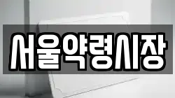 서울약령시장
