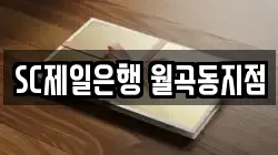 SC제일은행 월곡동지점
