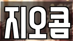 지오콤