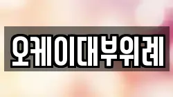 오케이대부위례