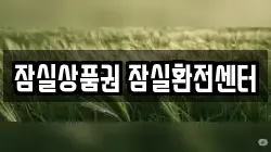 잠실상품권 잠실환전센터
