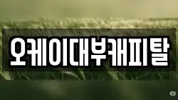 오케이대부캐피탈