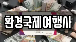 환경국제여행사