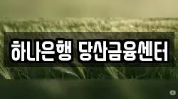 하나은행 당산금융센터