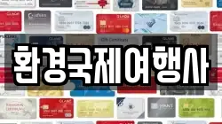 환경국제여행사