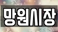 망원시장