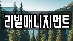 리빌매니지먼트