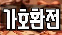 가호환전