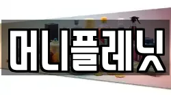 머니플레닛