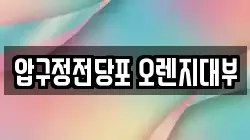 압구정전당포 오렌지대부