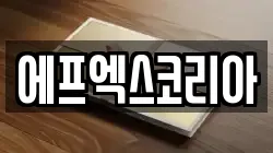 에프엑스코리아