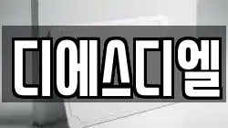 디에스디엘