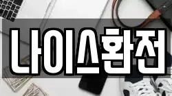 나이스환전