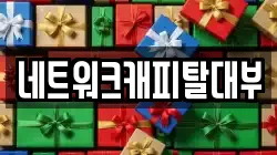 네트워크캐피탈대부
