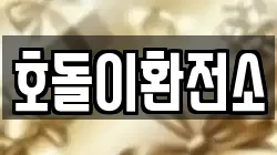 호돌이환전소