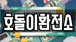 호돌이환전소