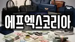 에프엑스코리아