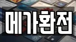 메가환전