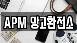 APM 망고환전소