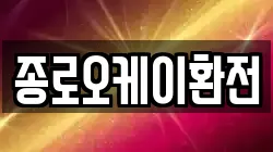 종로오케이환전