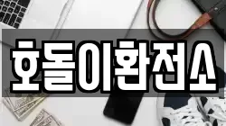 호돌이환전소