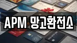 APM 망고환전소