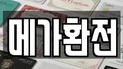 메가환전