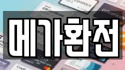 메가환전