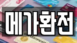 메가환전