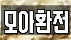 모아환전