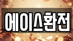 에이스환전