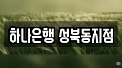 하나은행 성북동지점