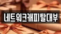 네트워크캐피탈대부