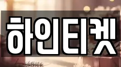 하인티켓