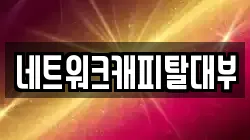 네트워크캐피탈대부