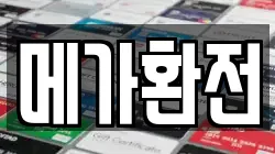 메가환전