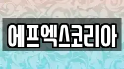 에프엑스코리아